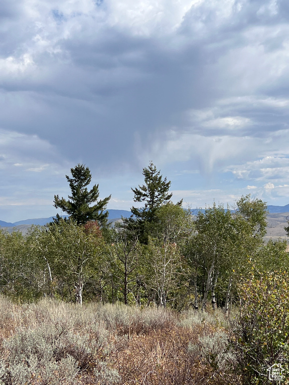 View of undeveloped land