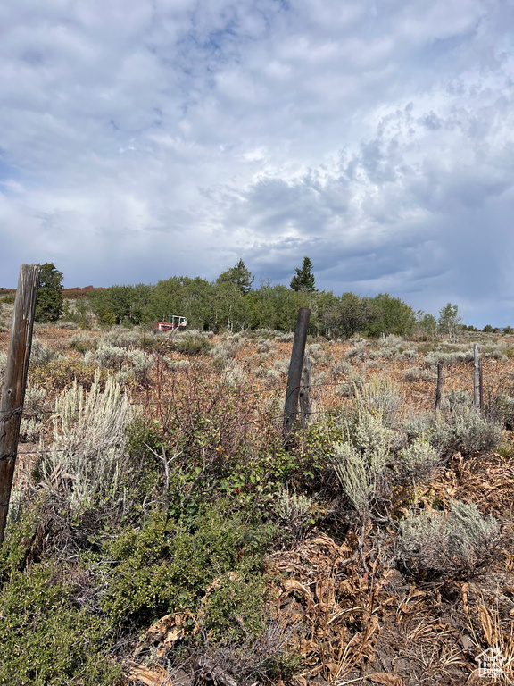 View of yard featuring a rural view