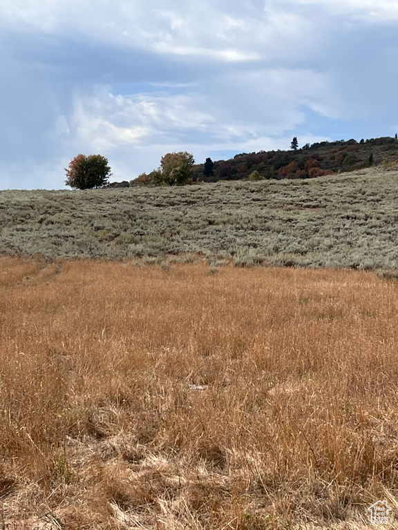 View of yard featuring a rural view