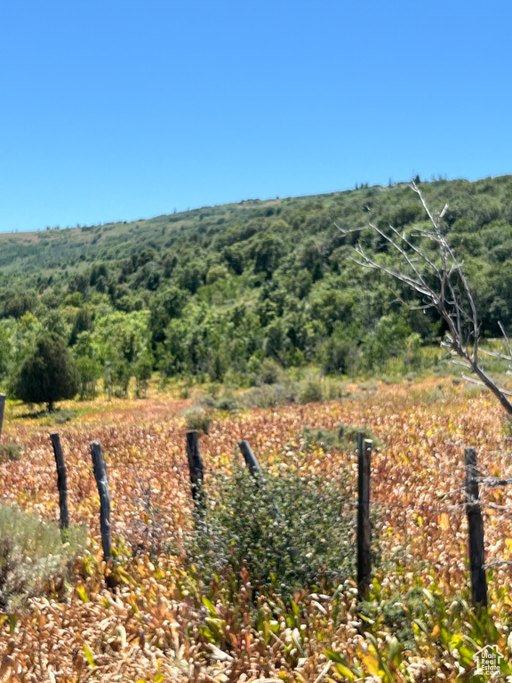 View of mountain background with a heavily wooded area