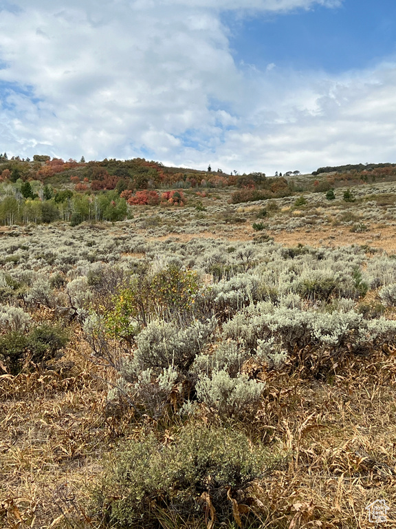 View of undeveloped land with rural landscape