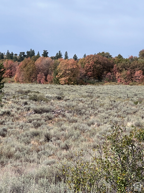 View of nature featuring rural landscape