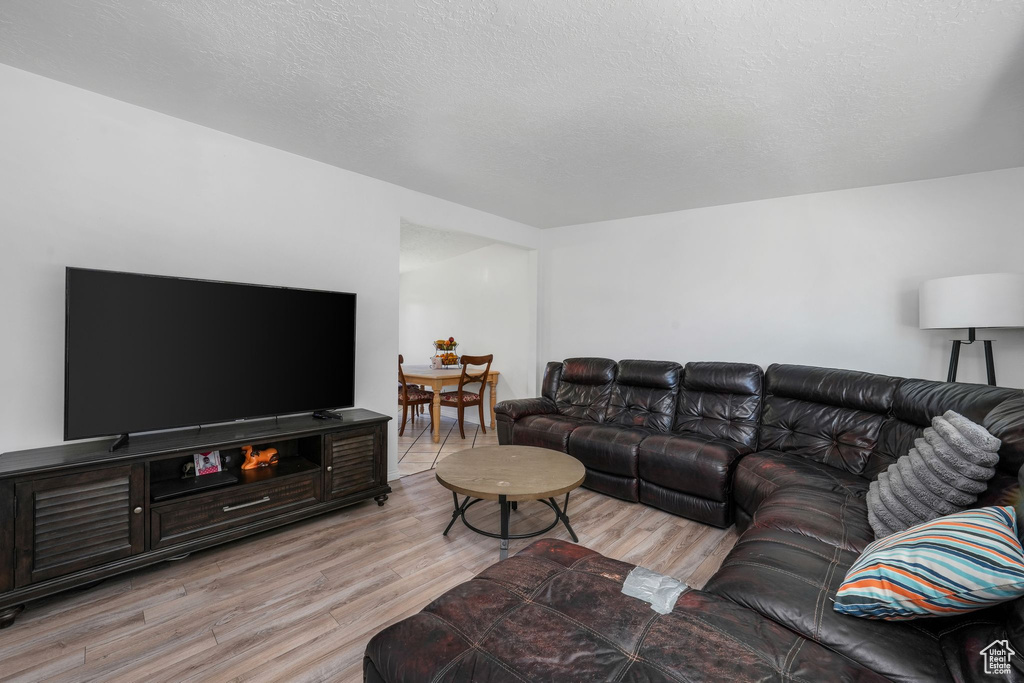 Living room with light wood finished floors