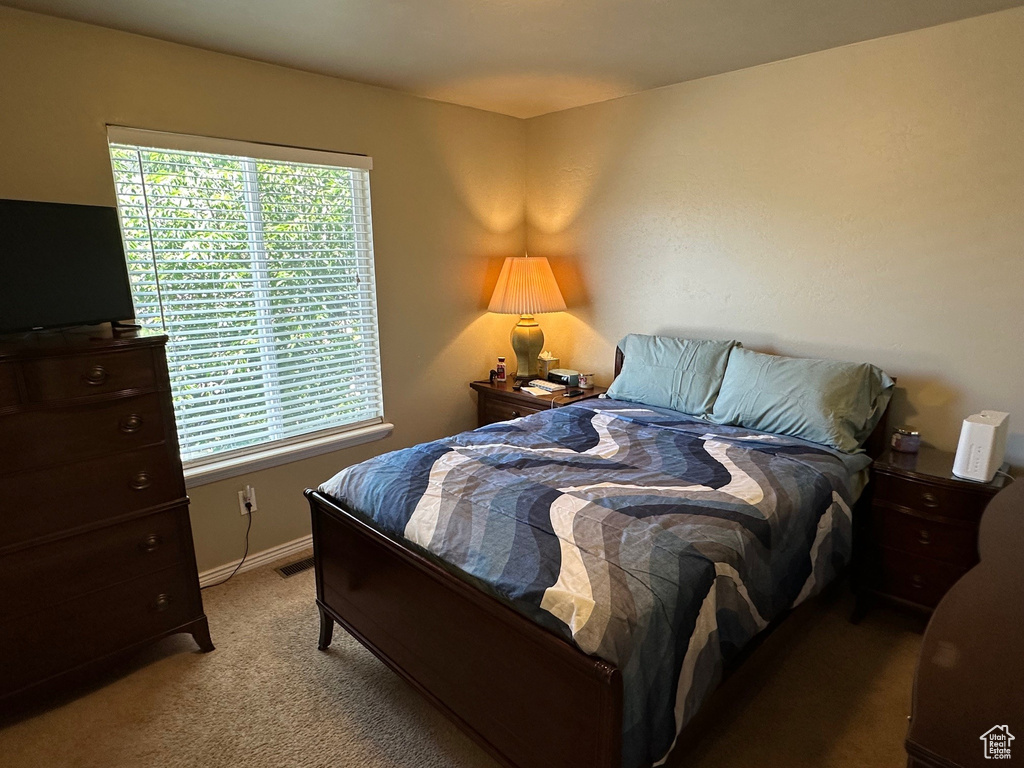 13677 S BUCKEYE WAY Riverton, UT 84096