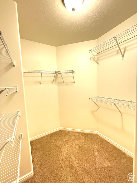 532 W 300 S #B Springville, UT 84663