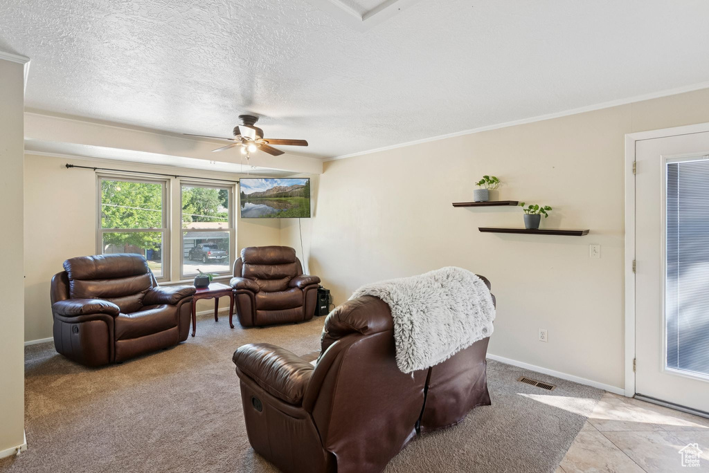 Carpeted living area with ceiling fan, crown molding, and a textured ceiling