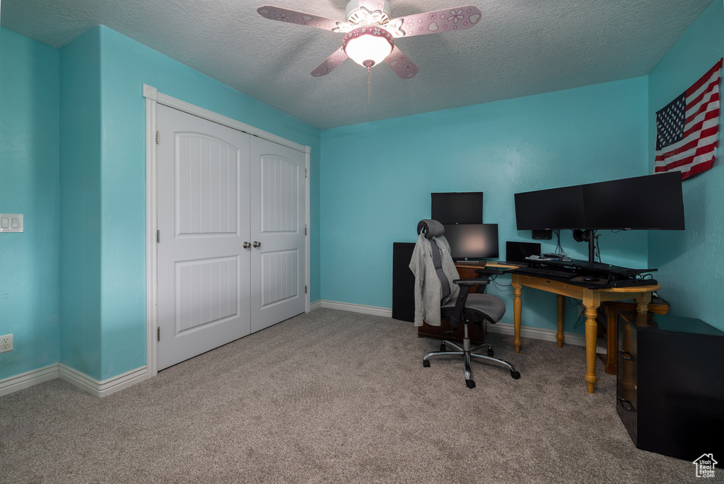3378 N SR 87 Talmage, UT 84073