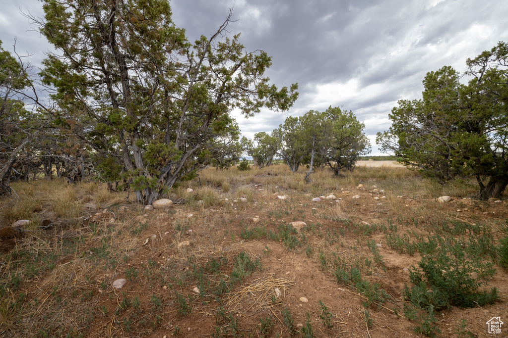 3378 N SR 87 Talmage, UT 84073
