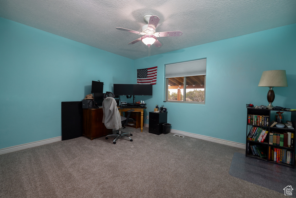 3378 N SR 87 Talmage, UT 84073