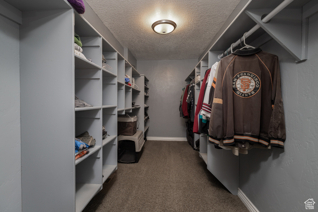 3378 N SR 87 Talmage, UT 84073