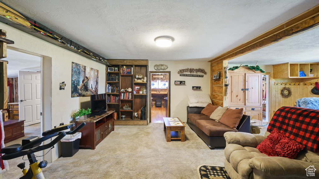 Carpeted living room with a textured ceiling