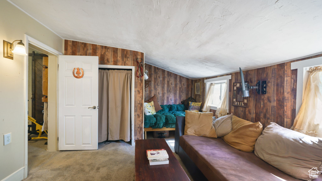 Carpeted living area with wooden walls and lofted ceiling