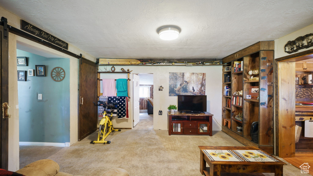 Living area featuring a barn door, carpet floors, and a textured ceiling
