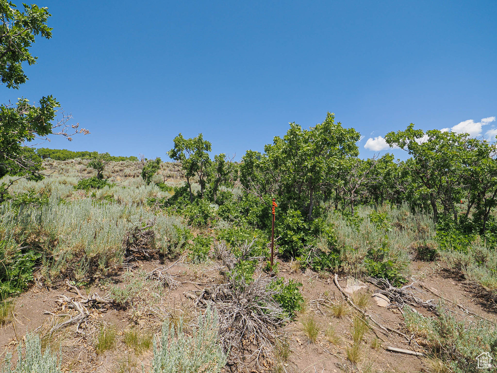 3150 E RIDGEWAY DR Kamas, UT 84036