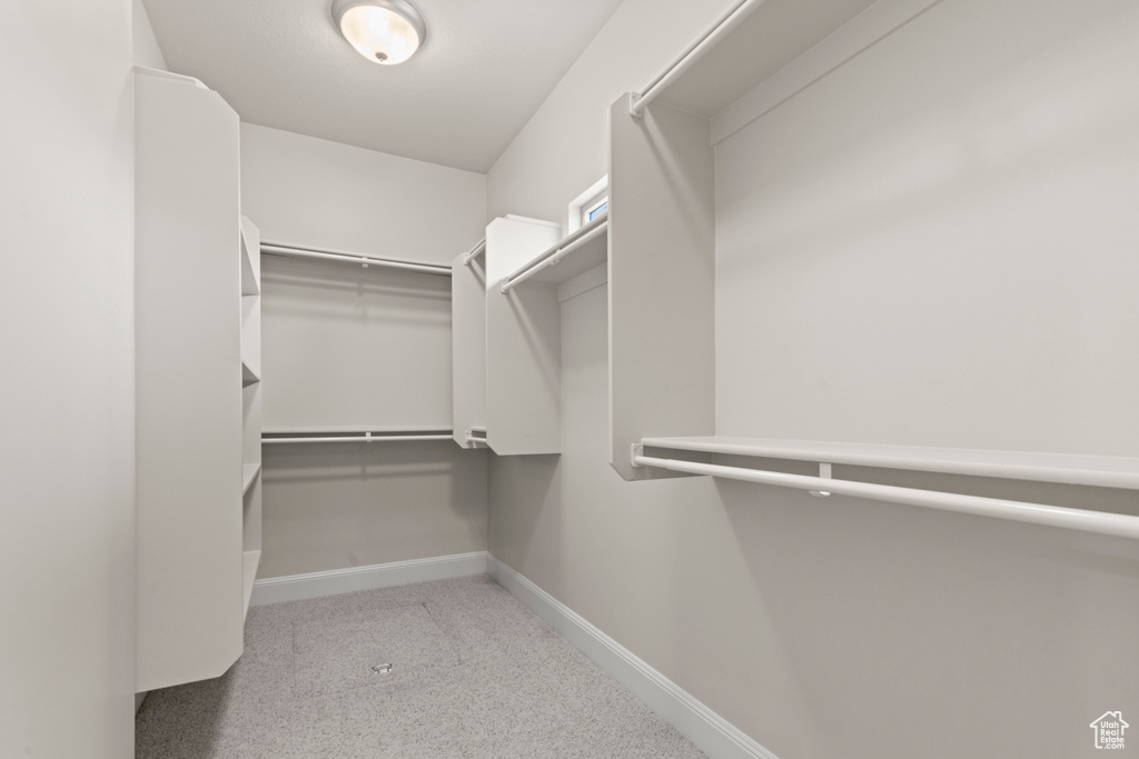 Spacious closet with carpet flooring