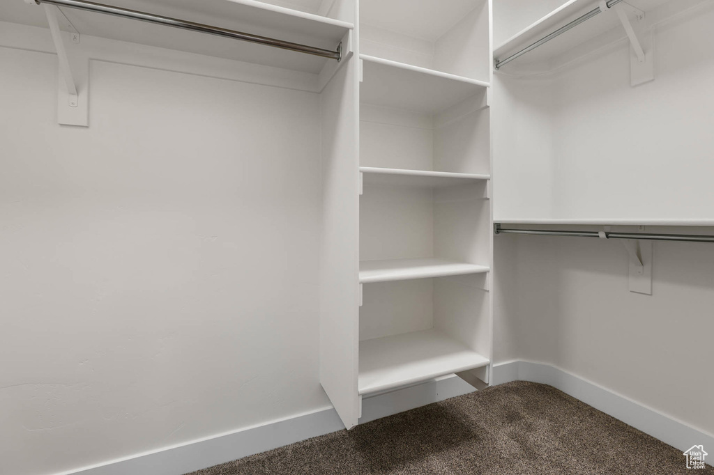 Walk in closet with carpet