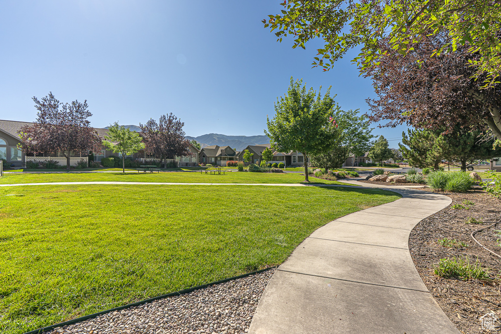 View of community featuring a lawn and a residential view