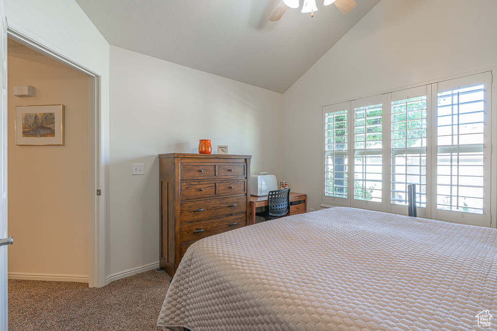 Carpeted bedroom with high vaulted ceiling and ceiling fan