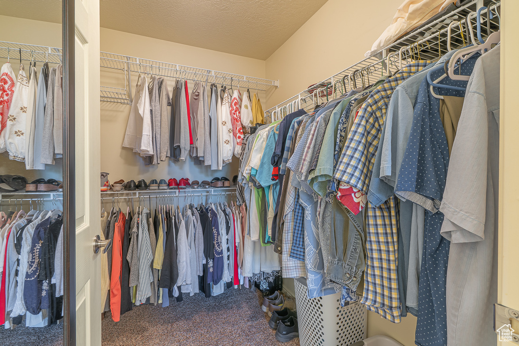 Spacious closet featuring carpet flooring