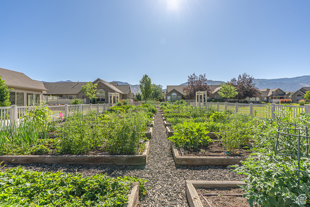 View of yard featuring a vegetable garden and a residential view
