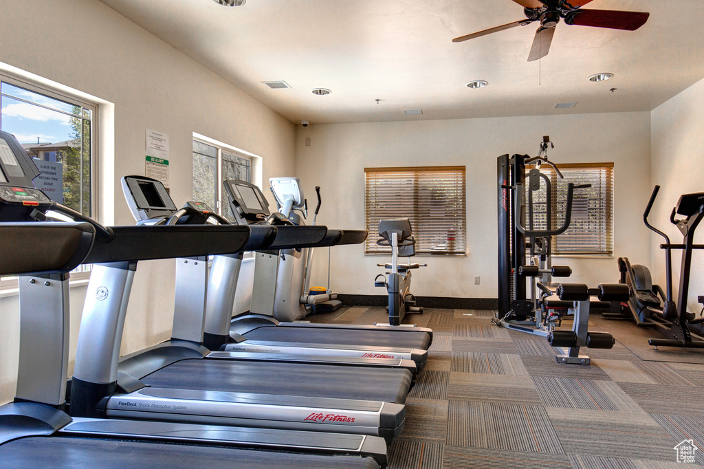 Gym featuring ceiling fan and carpet flooring