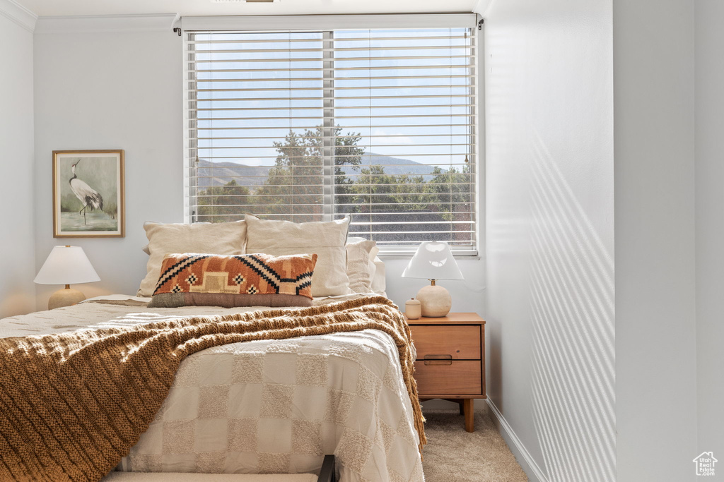 Carpeted bedroom with ornamental molding and a mountain view