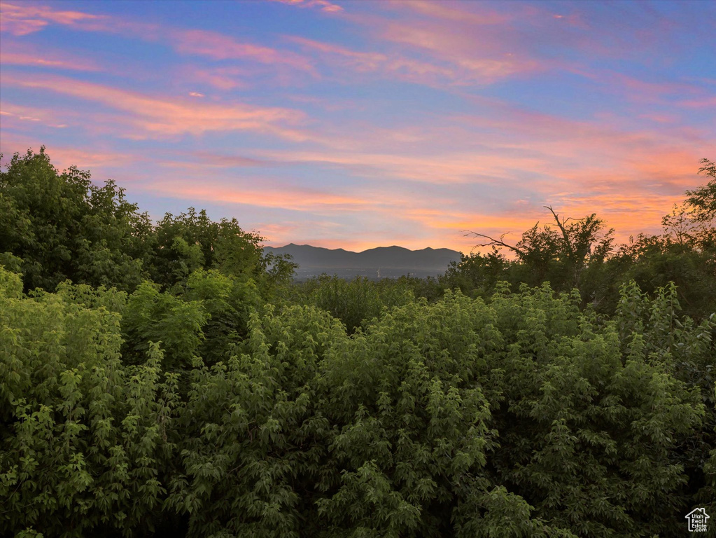 View of mountain background with a forest