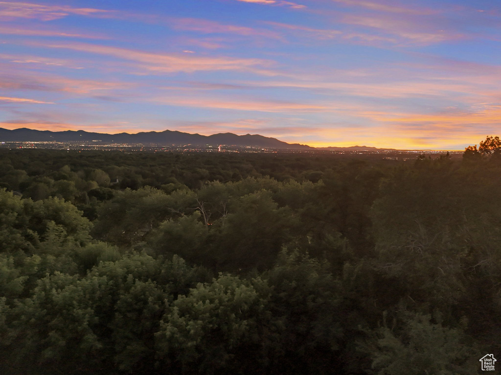 View of mountain backdrop with a forest