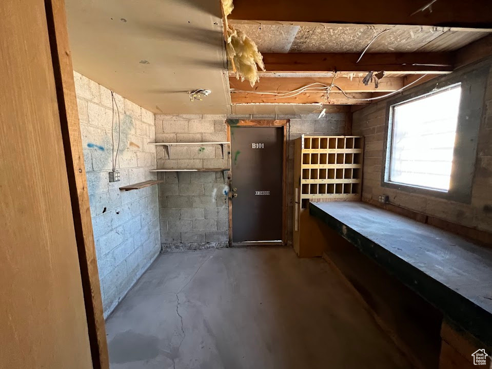 Basement with concrete block wall