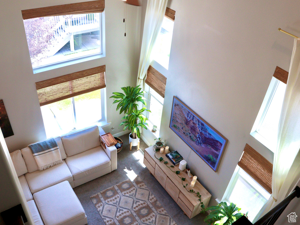 Carpeted living area with a towering ceiling and baseboards
