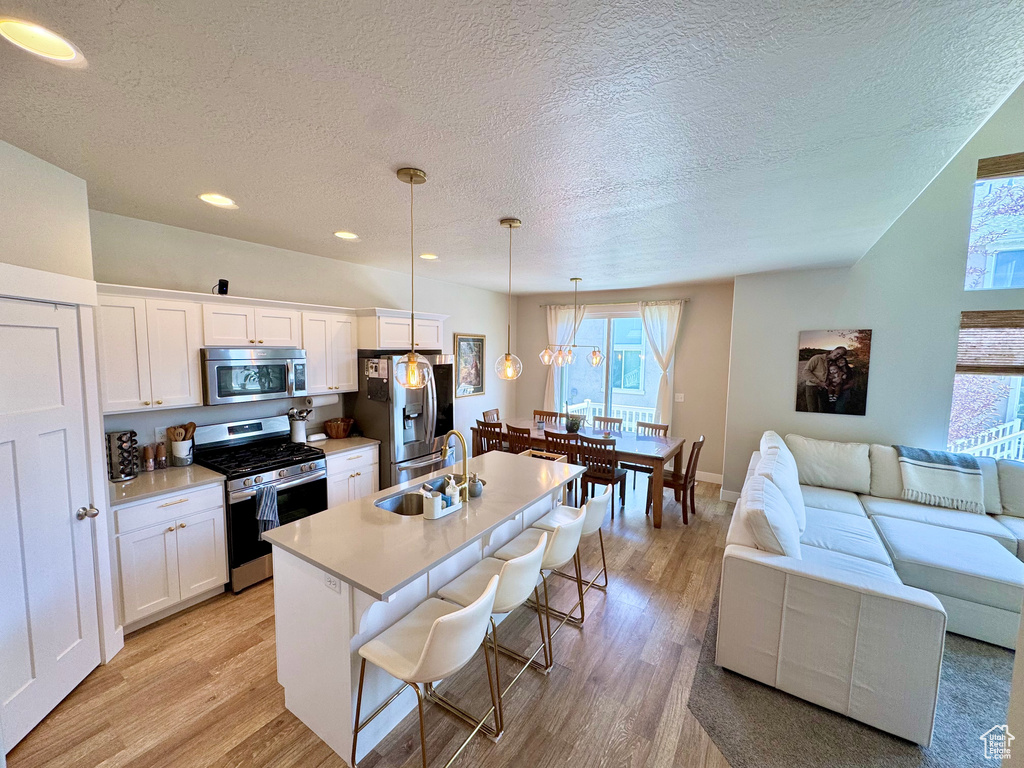 Kitchen with stainless steel appliances, a textured ceiling, plenty of natural light, light wood-type flooring, and recessed lighting