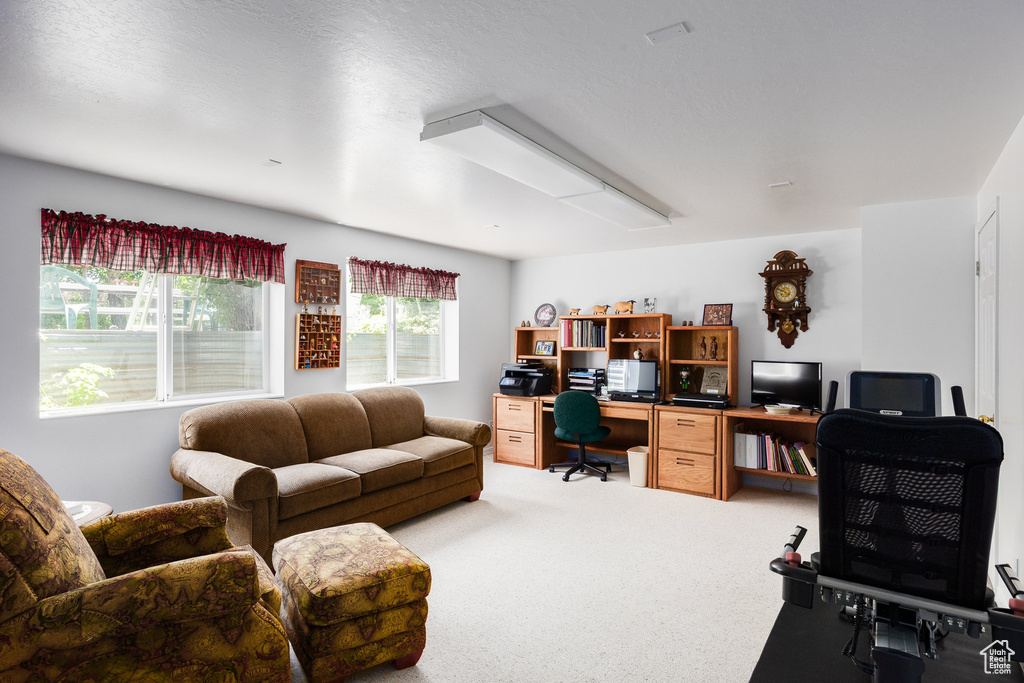 Home office with light carpet
