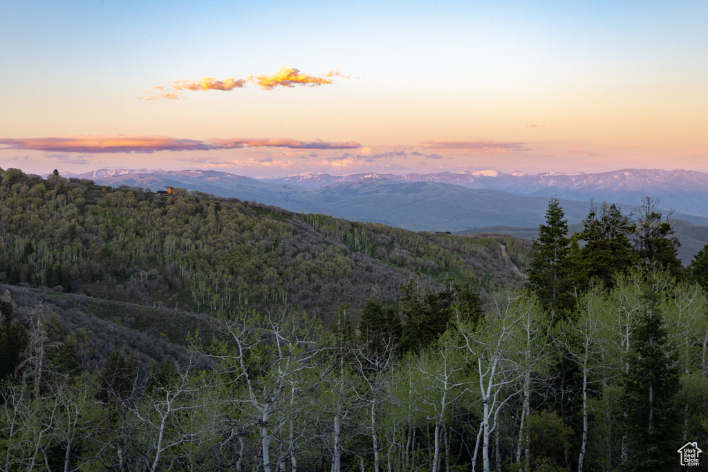 Mountain view with a forest