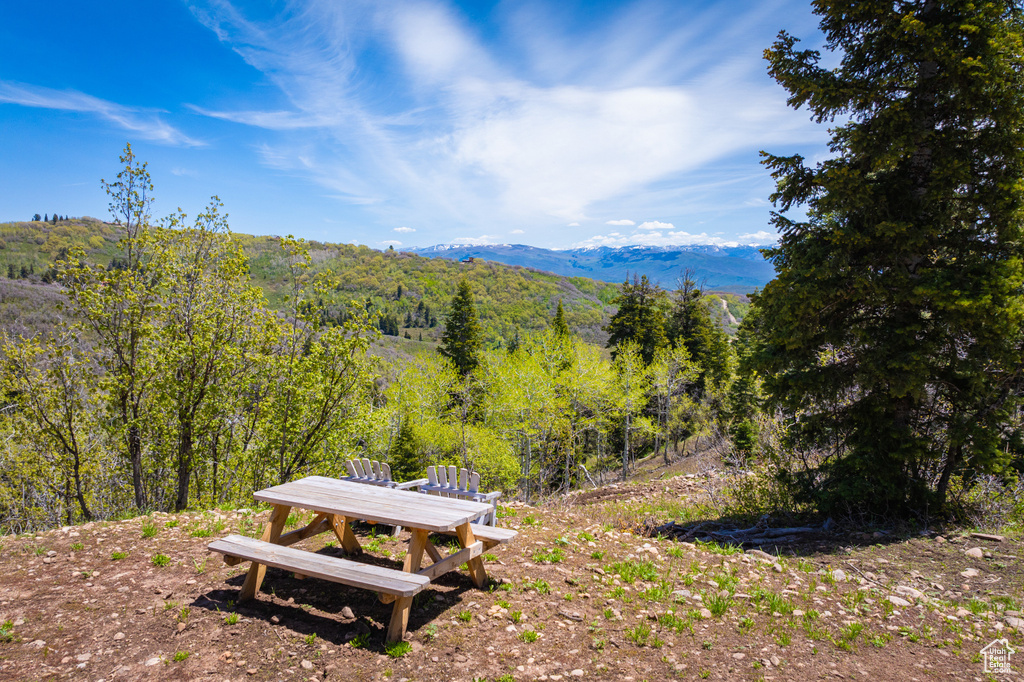 Mountain view featuring a forest