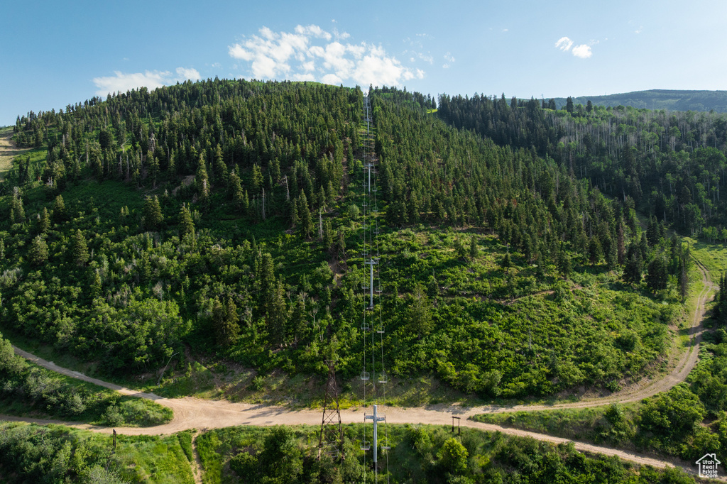 View of mountain backdrop featuring a heavily wooded area