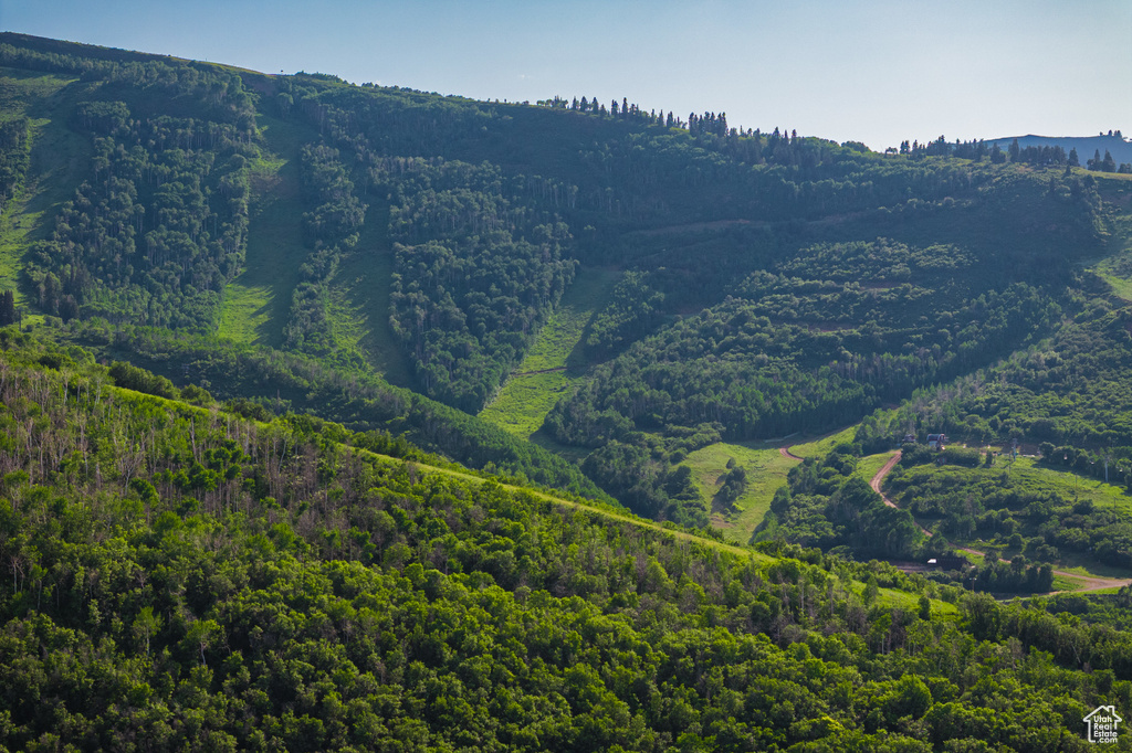 Mountain view featuring a forest