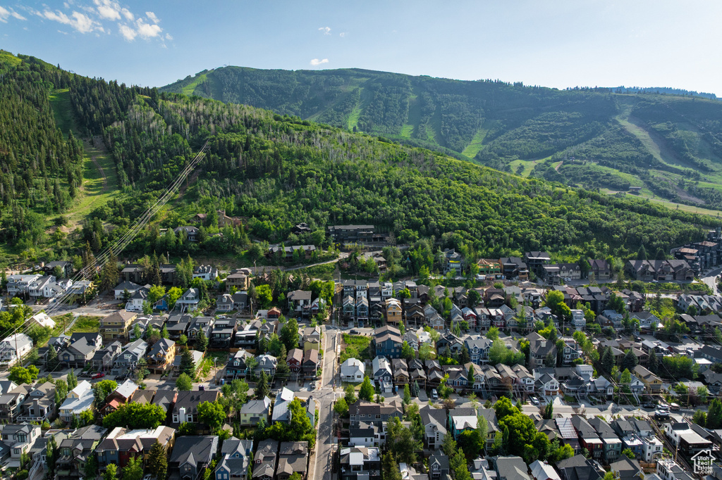 Mountain view with nearby suburban area and a forest
