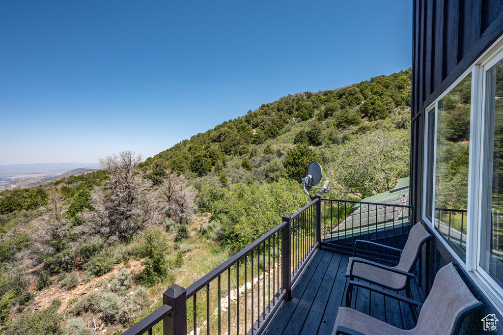 Wooden deck with a forest view