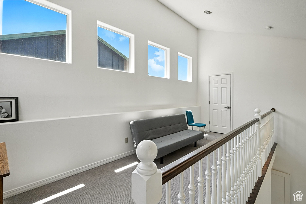 Staircase featuring carpet floors and a high ceiling