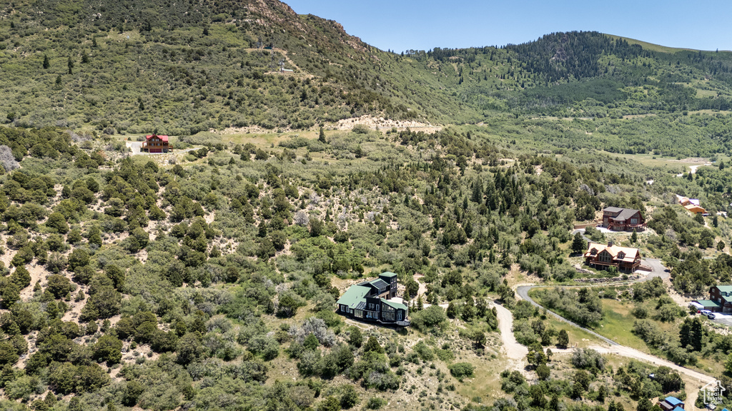 Bird's eye view of a mountainous background