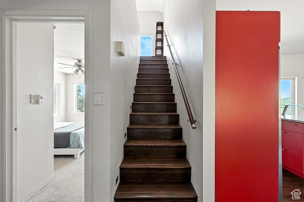 Stairs with a ceiling fan and wood finished floors
