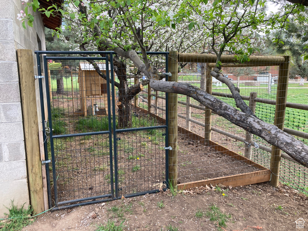 View of gate