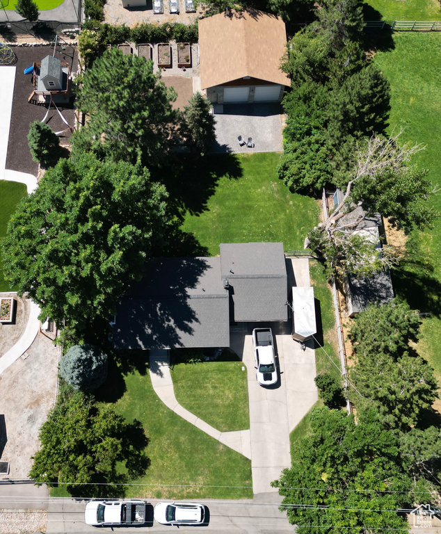 Bird\'s eye view