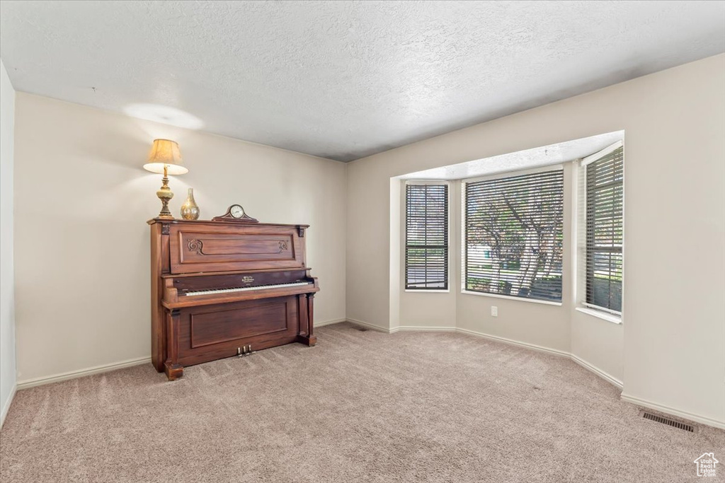 Sitting room with light carpet and a textured ceiling
