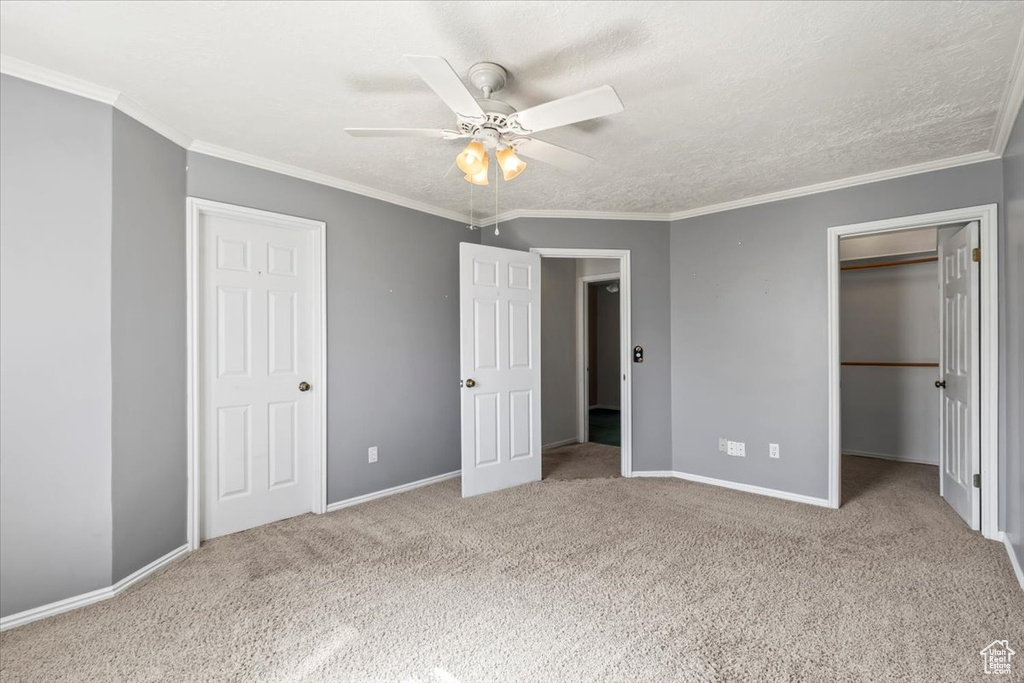 Unfurnished bedroom with carpet floors, ornamental molding, a walk in closet, and ceiling fan