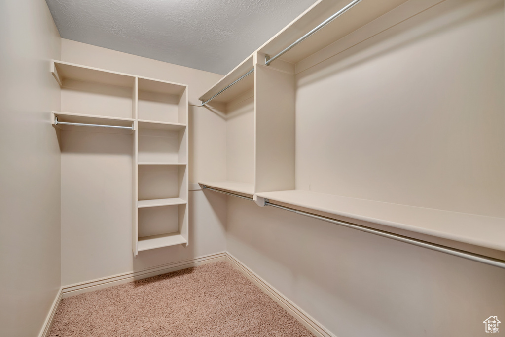 Spacious closet featuring carpet flooring