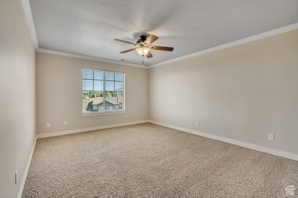Carpeted spare room featuring a ceiling fan, ornamental molding, and a textured ceiling