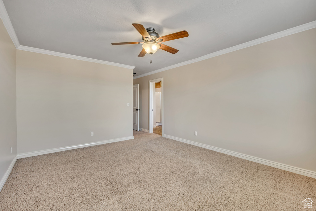 Spare room featuring ceiling fan, crown molding, and light colored carpet