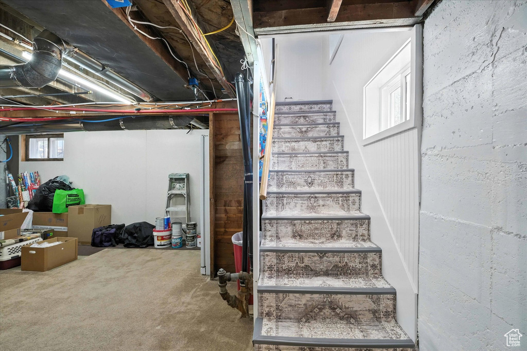 Staircase featuring carpet flooring