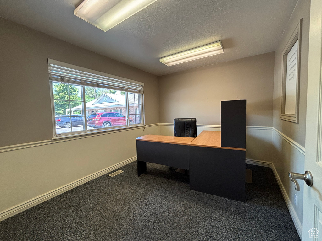 Office space featuring carpet and a textured ceiling